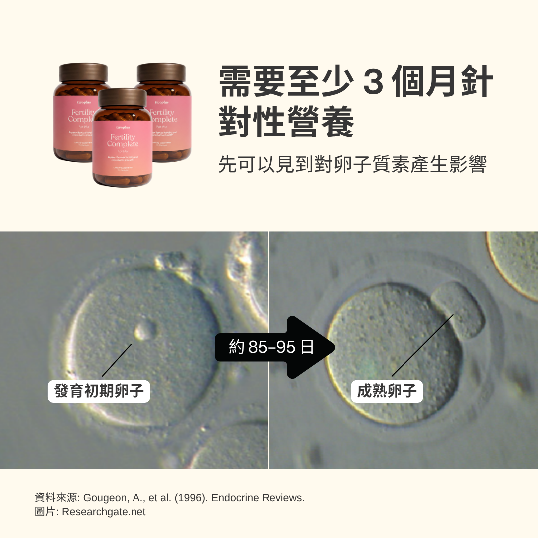 Fertility Complete for Her (慳15%)