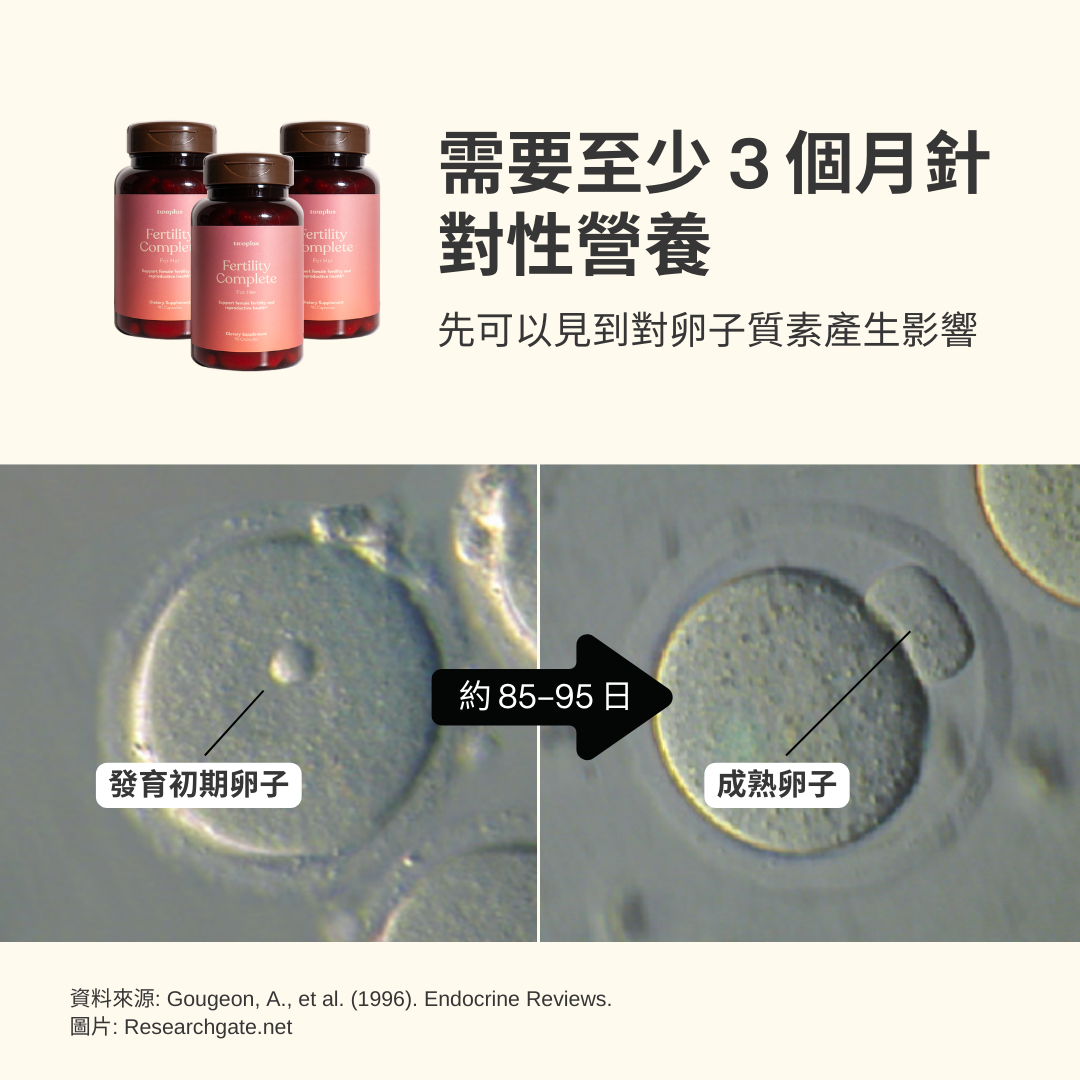 Fertility Complete for Her (慳15%)